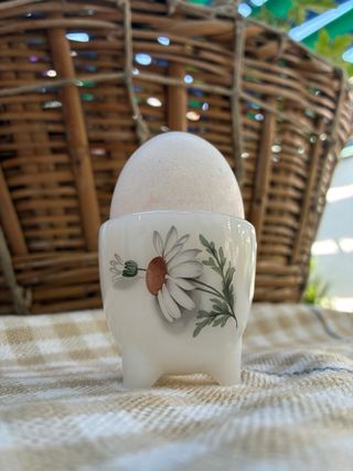 5 Hueveras Arcopal Flores Margaritas