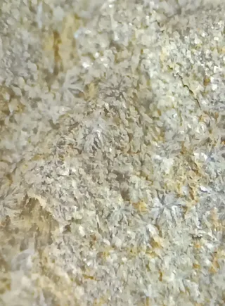 Montgomeryita, Hidroxilapatito fluorapatito