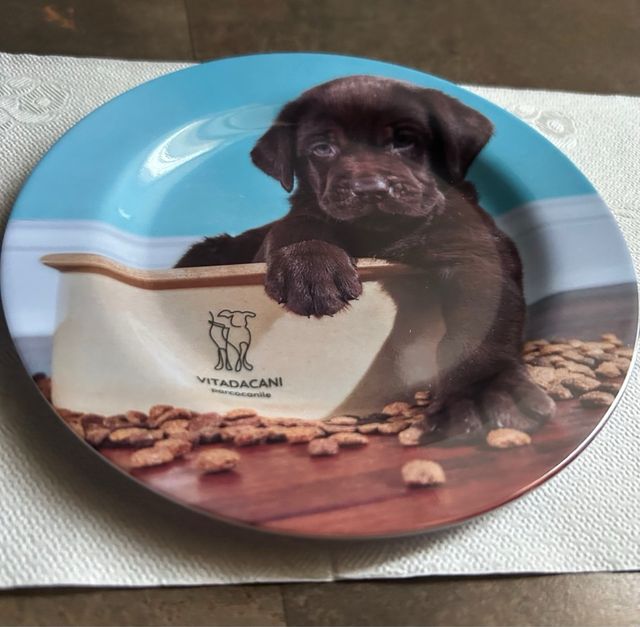 Posacenere in plastica con cucciolo