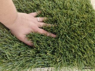 Césped artificial reciclado