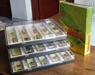 COLECCIÓN BICHOS. 40 Insectos/35fasciculos