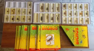 COLECCIÓN BICHOS. 40 Insectos/35fasciculos