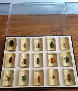 COLECCIÓN BICHOS. 40 Insectos/35fasciculos