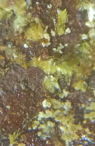 Montgomeryita Mineral