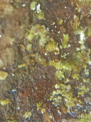 Montgomeryita Mineral