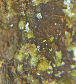 Montgomeryita Mineral