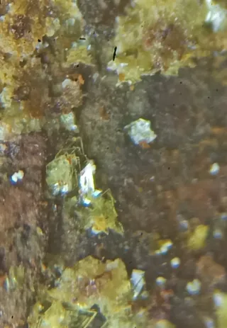 Montgomeryita Mineral