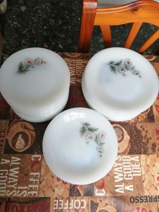 Vajilla Arcopal Margaritas 3 € unidad TODOS 60 #