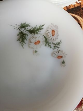 Vajilla Arcopal Margaritas 3 € unidad TODOS 60 #