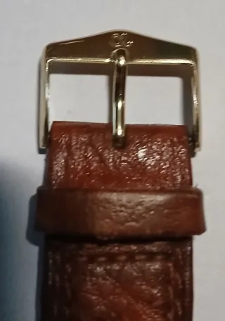 Reloj Festina Cronógrafo Alarma Dorado Marrón