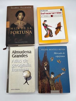 Oferta lote novelas autores hispanos
