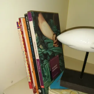 Lote 6 libros: C. Lengua, Poe, Europa...