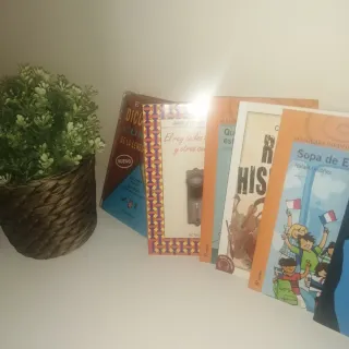 Lote 6 libros: C. Lengua, Poe, Europa...