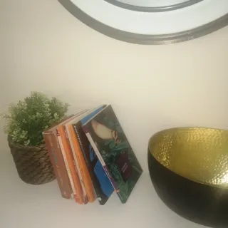 Lote 6 libros: C. Lengua, Poe, Europa...