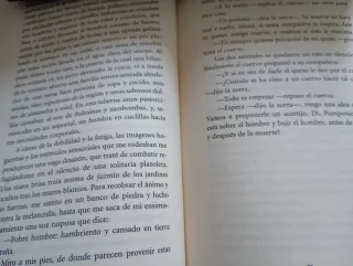 El asombroso viaje de Pomponio Flato