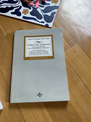 Teoría del Derecho: Una concepción de la experi...