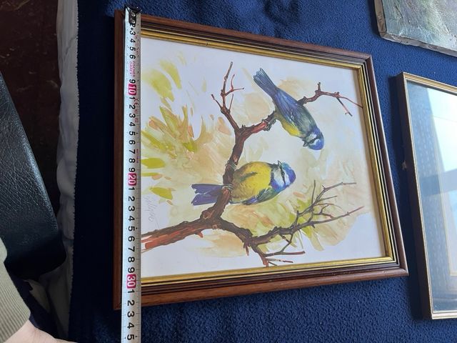 Imagen de pájaros enmarcada