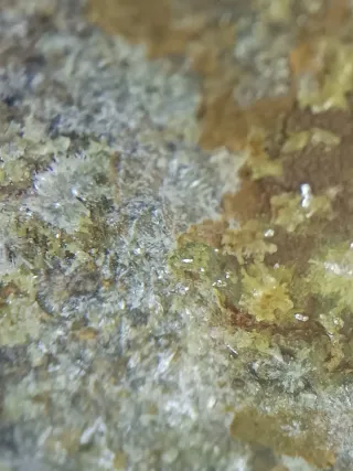 Montgomeryita e Hidroxilapatito Mineral