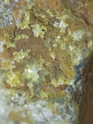 Montgomeryita e Hidroxilapatito Mineral