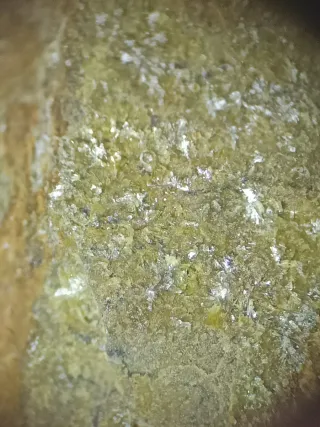 Montgomeryita e Hidroxilapatito Mineral