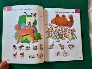 Diccionario inglés-español RICHMOND PICTURE DICTIO