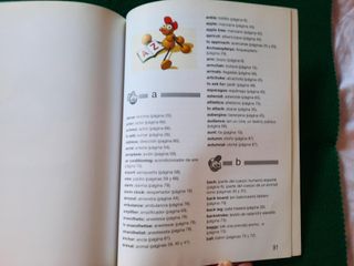 Diccionario inglés-español RICHMOND PICTURE DICTIO