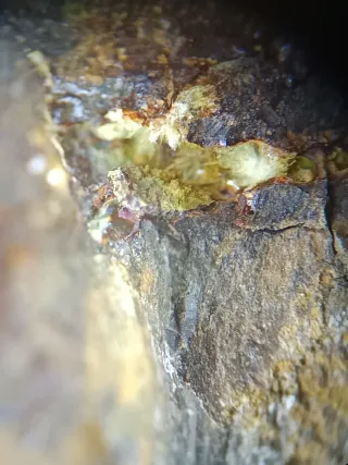 Mineral Montgomeryita