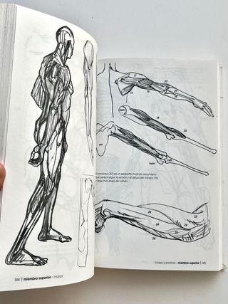 Anatomía artística dibujo cuerpo humano