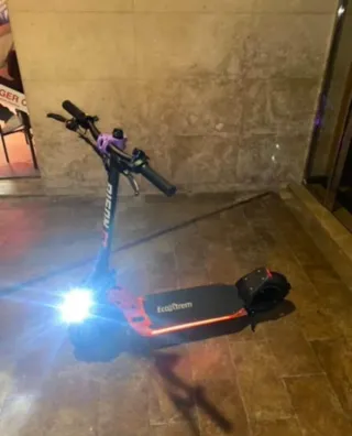Patinete Eléctrico Ecoxtrem Bison GT
