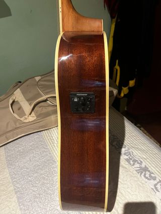 Guitarra Washburn WD10SCE