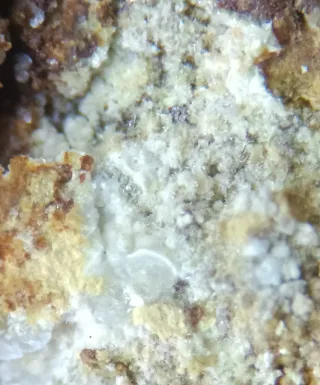 Montgomeryito, hidroxilapatito, fluorapatito