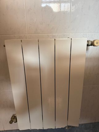 Caldera Ferroli + Depósito Gasoil + 7 Radiadores