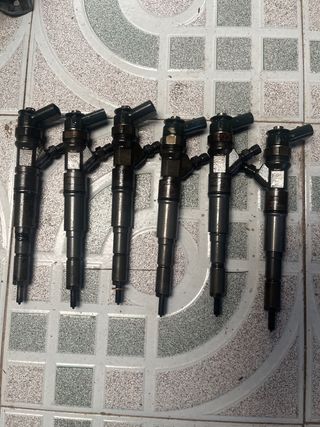 Inyectores BMW E90 306D3 M57