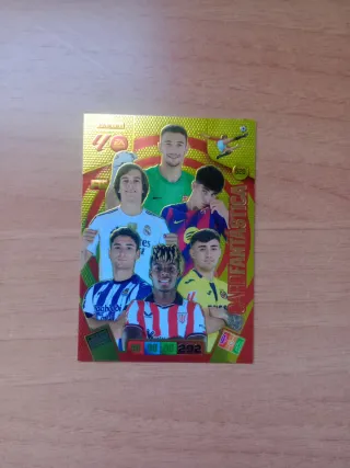 Panini Adrenalyn XL 25-26