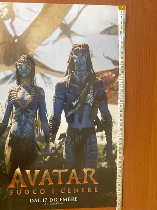 Poster Avatar: Fuoco e Cenere