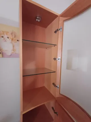 Vitrina de madera y cristal