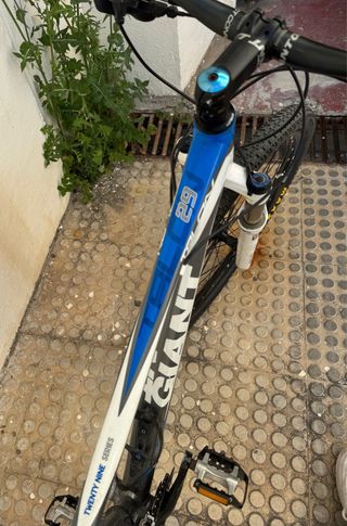 Bicicleta Giant Talon Gris/Blanco