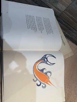 Libro Maremoto Beben des Meeres de Pablo Neruda