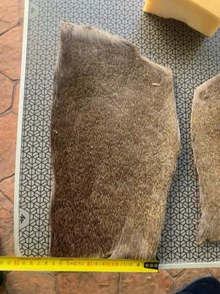 Pelo de corzo para moscas de pesca