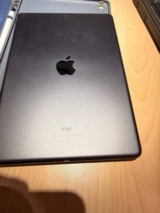 Apple iPad Grigio Siderale