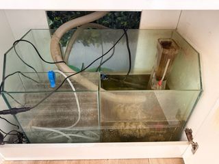 Acuario Marino Completo
