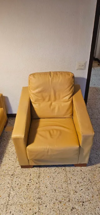 Sofá y sillón