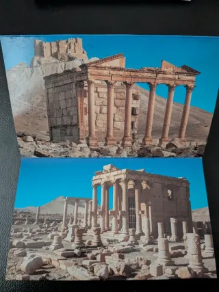 Cartoline Palmyra Collezione