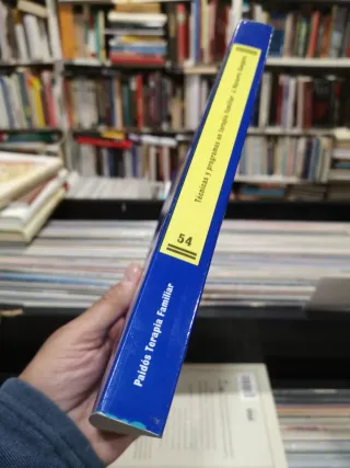 Técnicas y programas en terapia familiar (Spani...