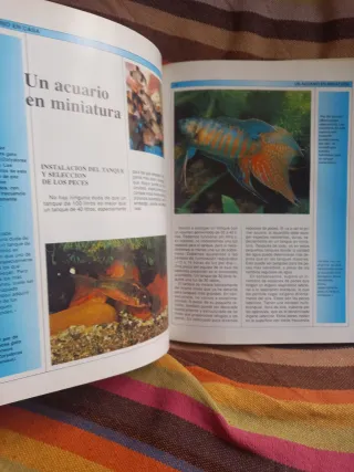 El acuario en casa
