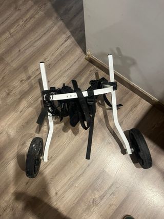 Carro ortopédico para patas traseras de perro