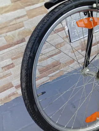 Bicicleta negra