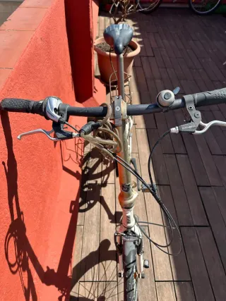 Bicicleta Plegable DAHON PROBIKE.