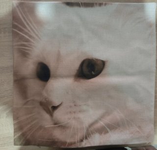 Funda cojín gato