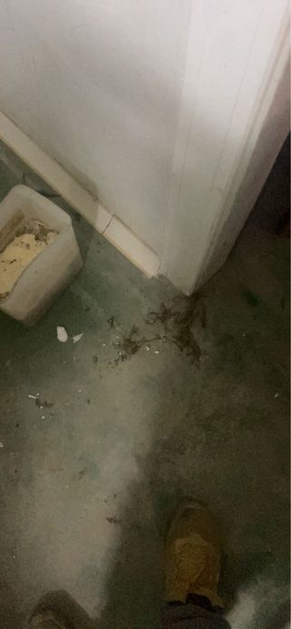 Cámara frigorífica industrial